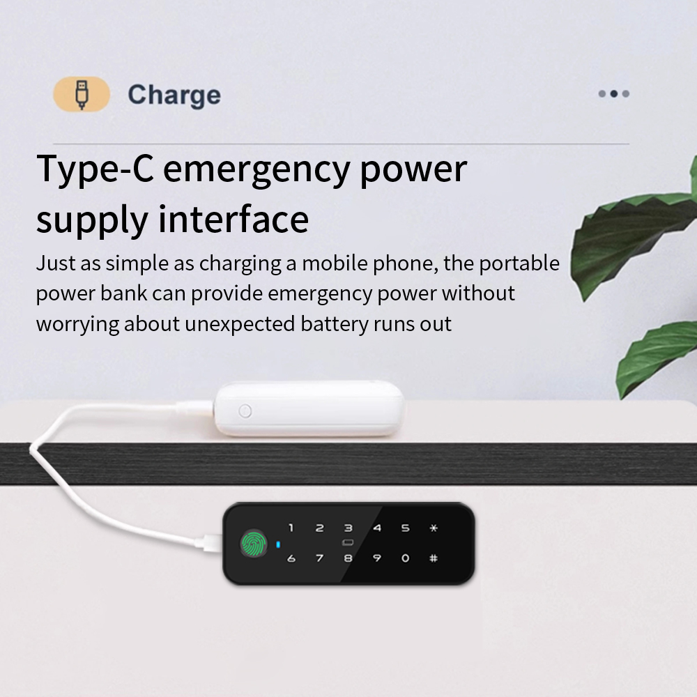 Tuya Bluetooth スマート木製キャビネット指紋ロ - Furniture Hardware Bolts のレビューと価格